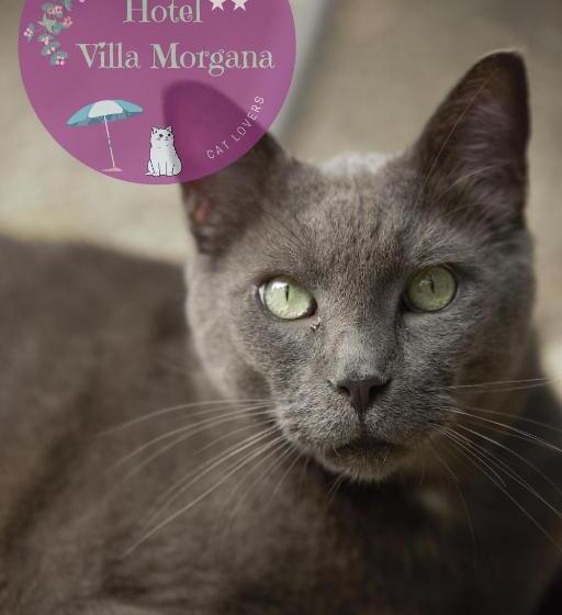 Отель Villa Morgana