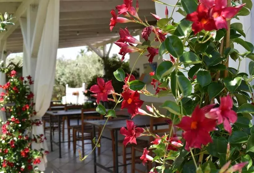 B&b Li Ccoti