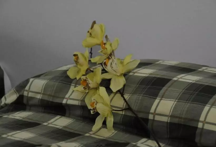 ベッドアンドブレックファースト Casablanca