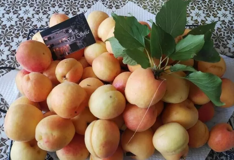 Aamiaismajoitus (B&B) Villa Sofia