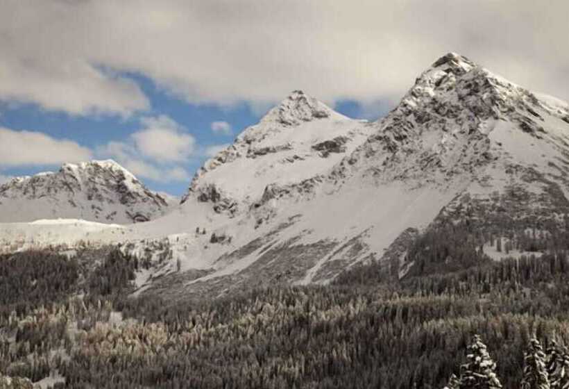 هتل Chamanna Bed & Breakfast