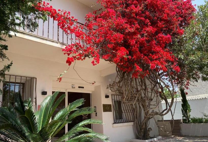 هتل Hôtel Le Mistral