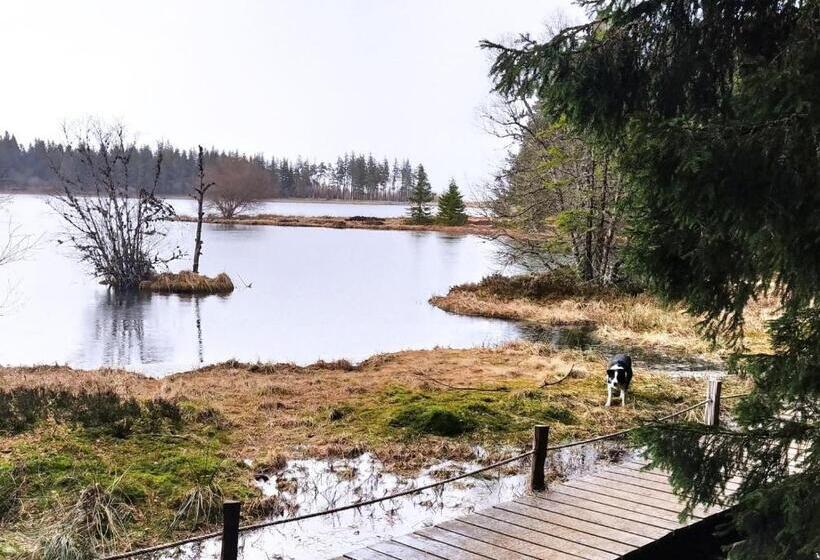 酒店 Hôtel Restaurant Notre Dame