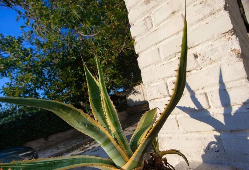 Villino Erminia   Seaside Art B&b