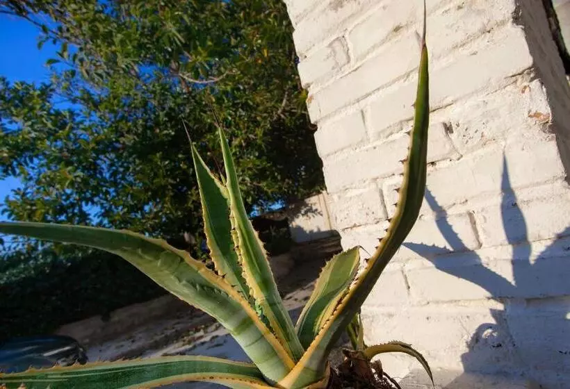 Villino Erminia   Seaside Art B&b