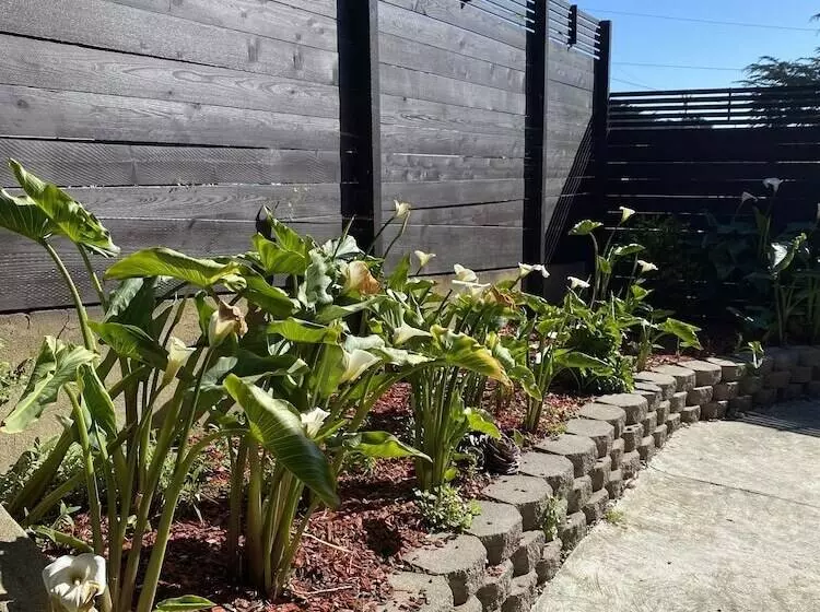 Aamiaismajoitus (B&B) Ocean View Inn