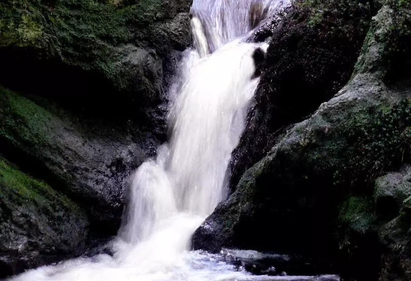 Hotelli Bayernstern  Ihr Wander & Wohlfühl