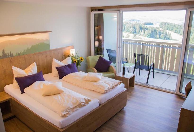 酒店 Gasthaus Sonne Neuhäusle