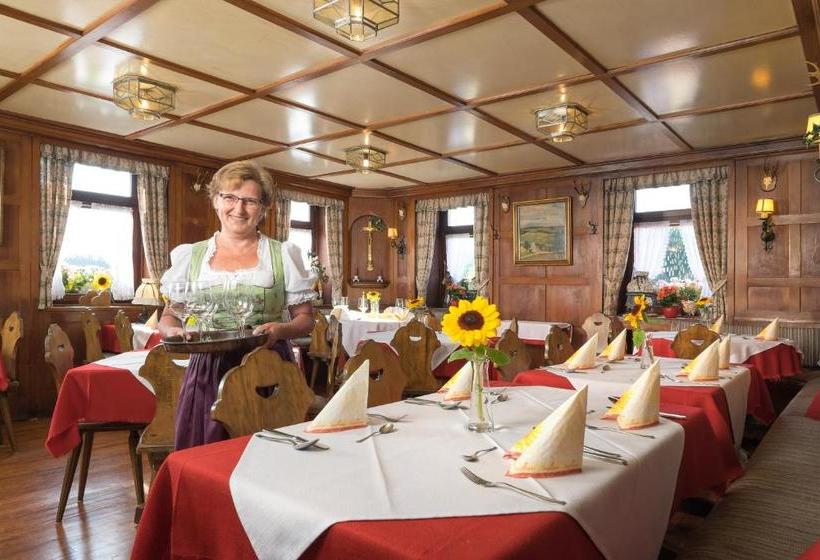 酒店 Gasthaus Sonne Neuhäusle