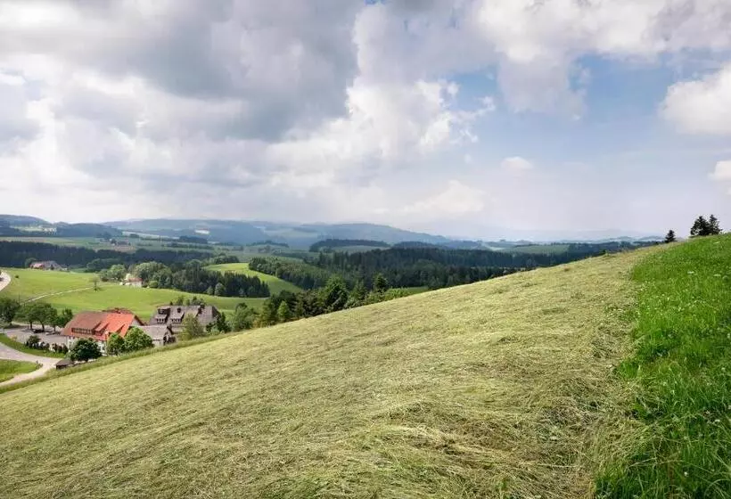 Hotelli Gasthaus Sonne Neuhäusle
