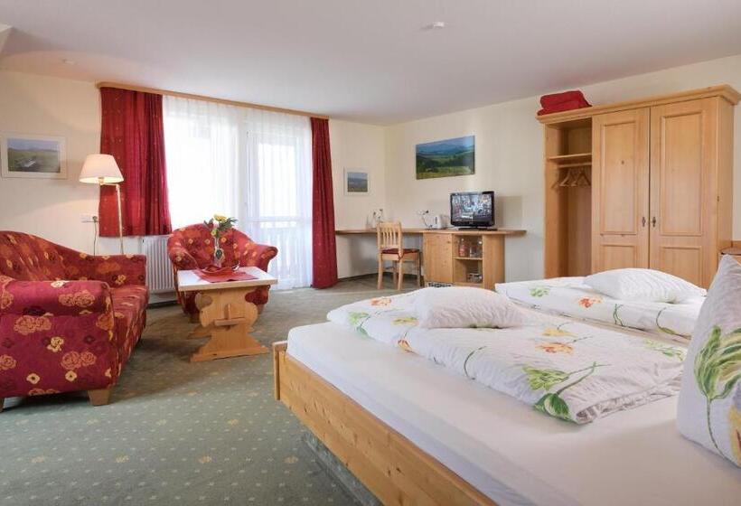 酒店 Gasthaus Sonne Neuhäusle