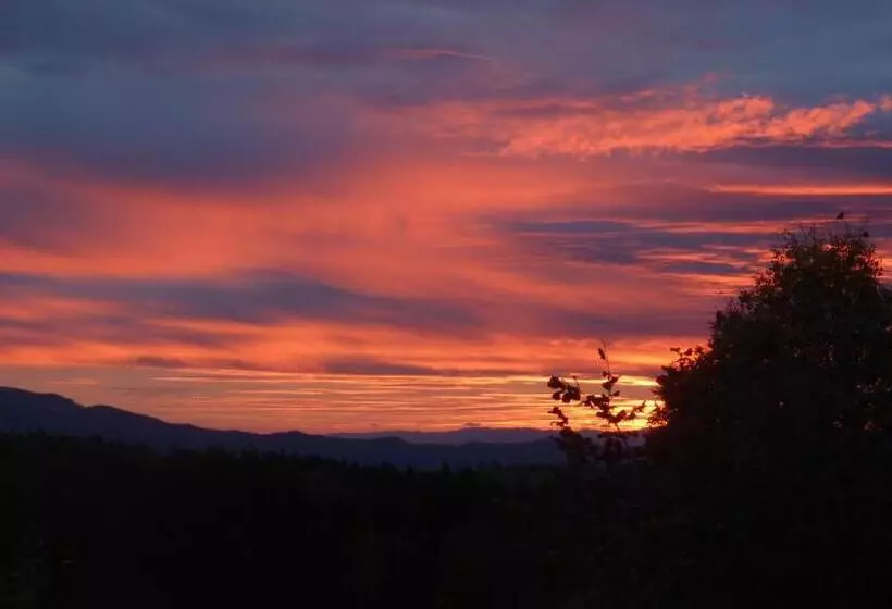 Hotelli Gasthaus Sonne Neuhäusle