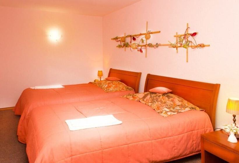 בית מלון כפרי Oasis