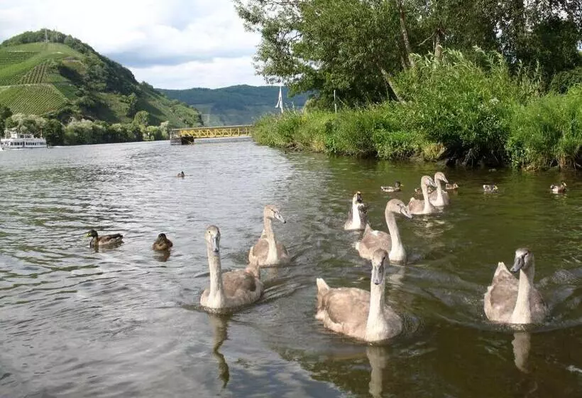 Hotelli Residence Bellevue