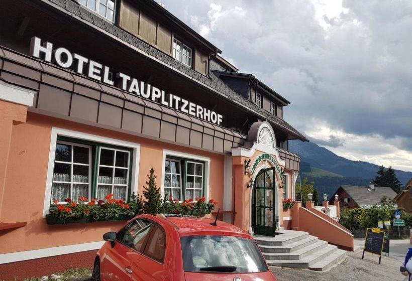 فندق Tauplitzerhof