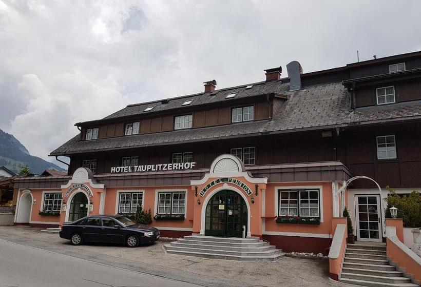 فندق Tauplitzerhof