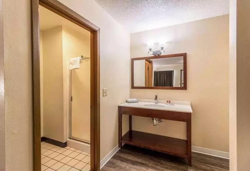 ホテル Econo Lodge   Valley City