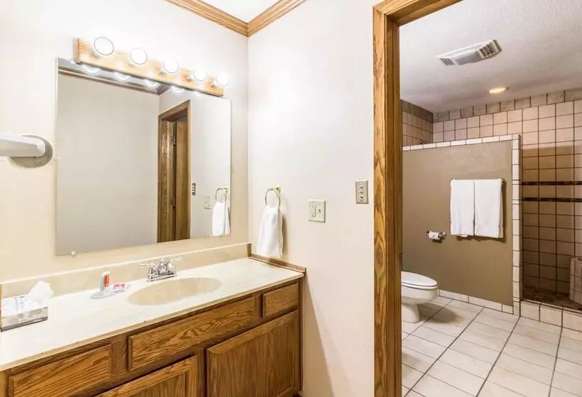 ホテル Econo Lodge   Valley City