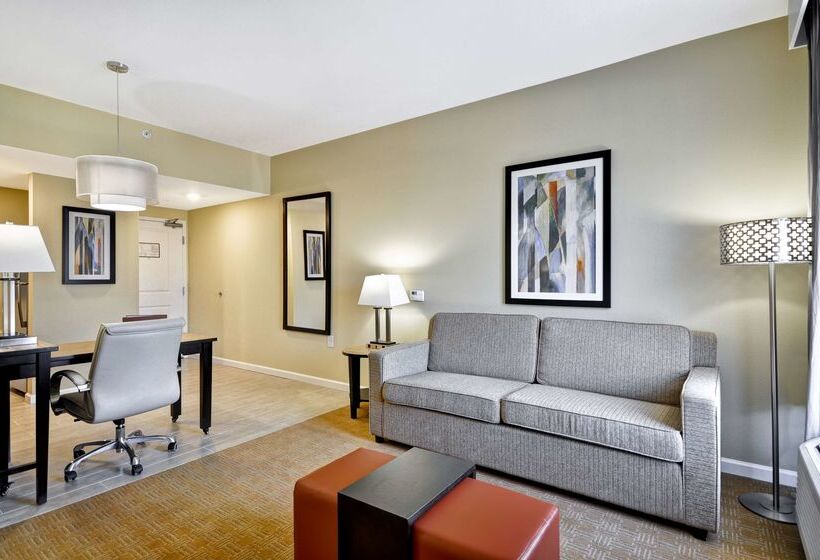 호텔 Homewood Suites By Hilton Augusta Gordon Highway