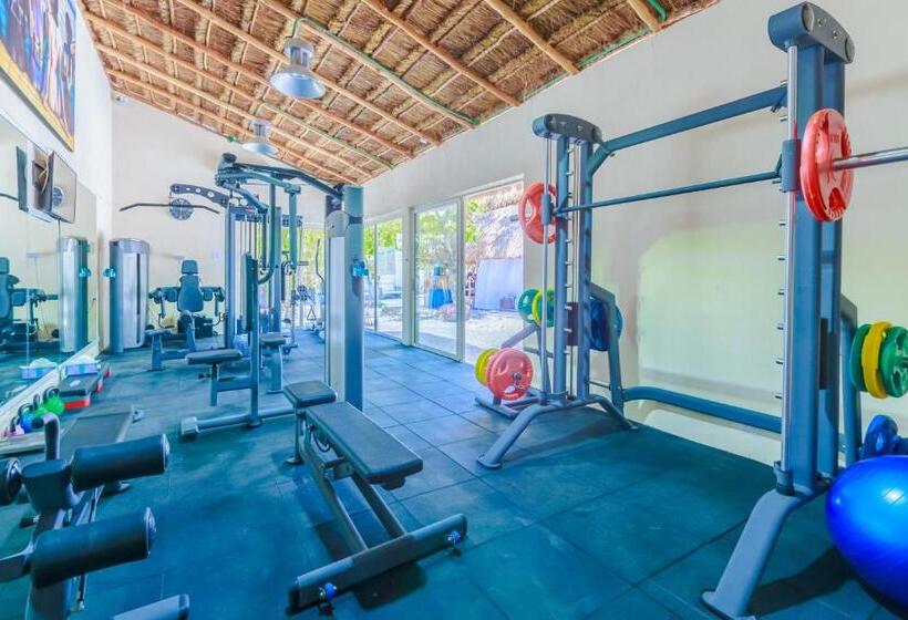 Отель Paradise Suites