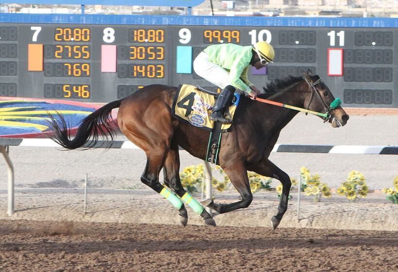 The Hotel At Sunland Park Casino El Paso, Ascend Hotel Collection