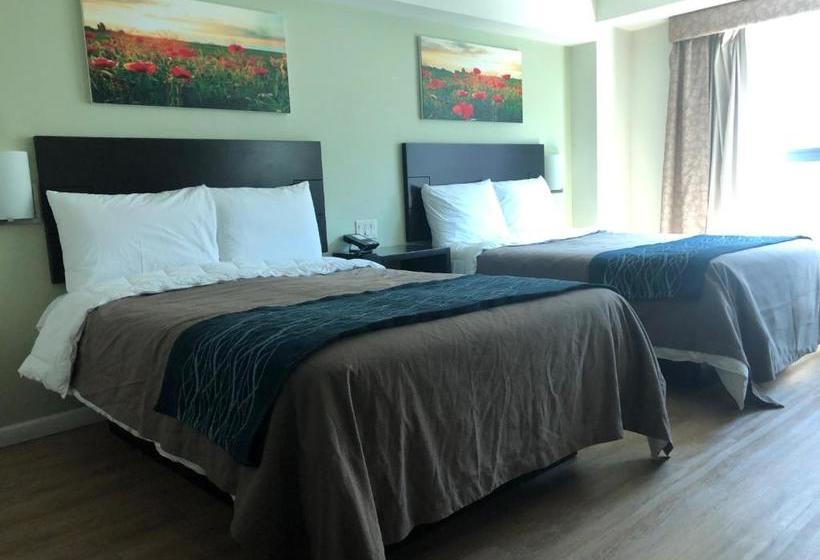 Fotos del hotel Umbrella  Queens Airports:  10