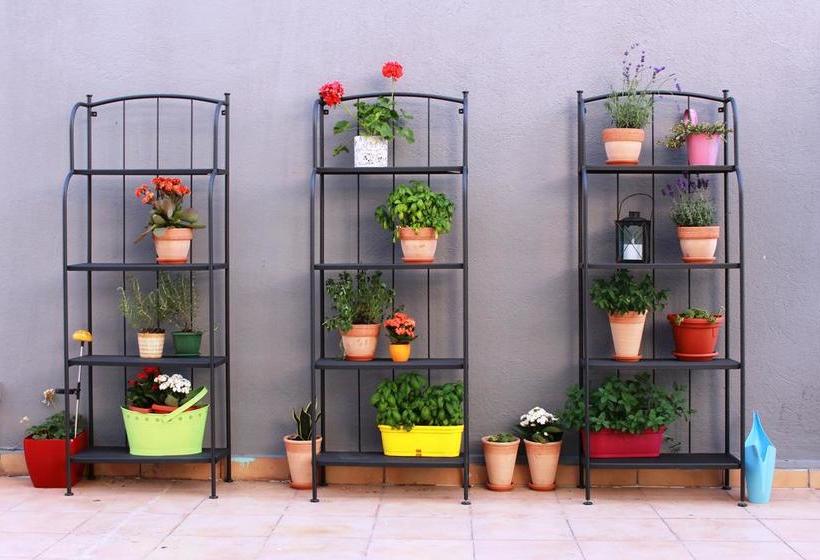 Hostel Quasimodo  Adults Only