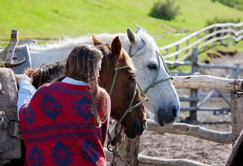 هتل Las Torres Patagonia