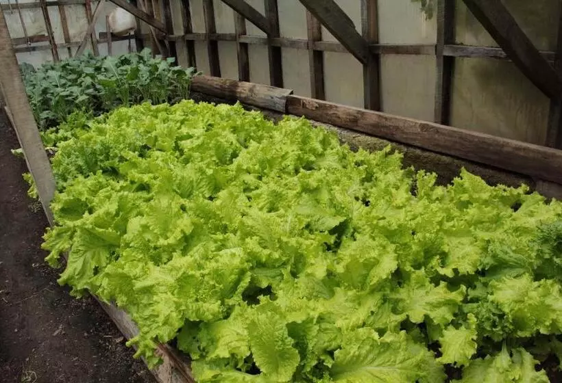 هتل Las Torres Patagonia