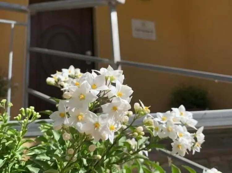 Majatalo La Locanda Di Campagna