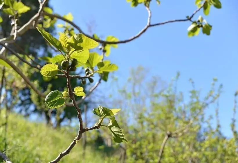 Majatalo La Locanda Di Campagna