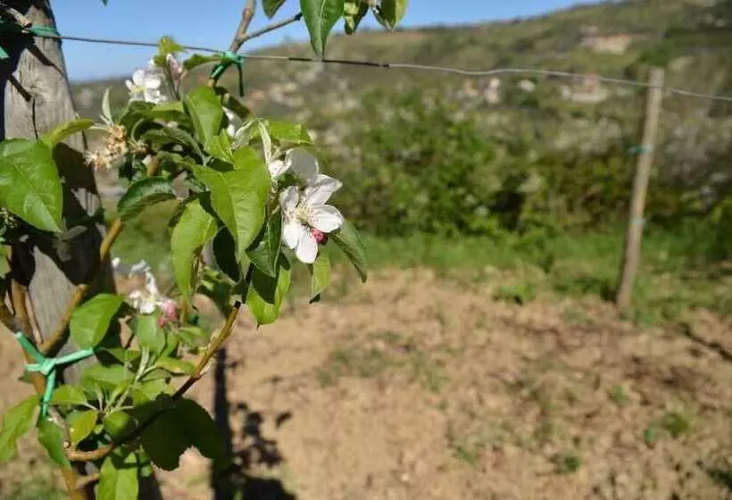 Majatalo La Locanda Di Campagna
