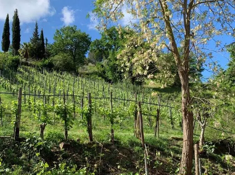 Majatalo La Locanda Di Campagna