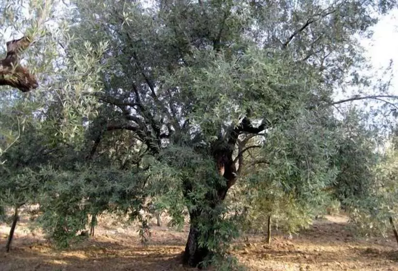 Majatalo La Locanda Di Campagna