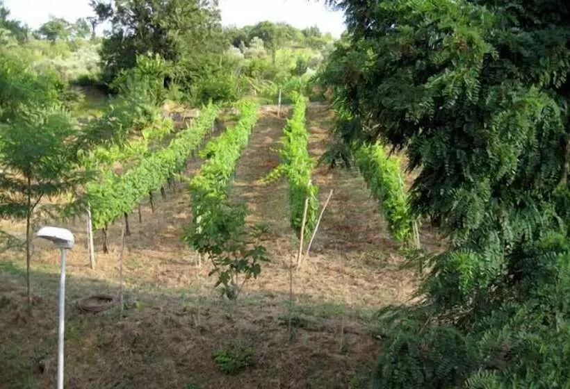 Majatalo La Locanda Di Campagna