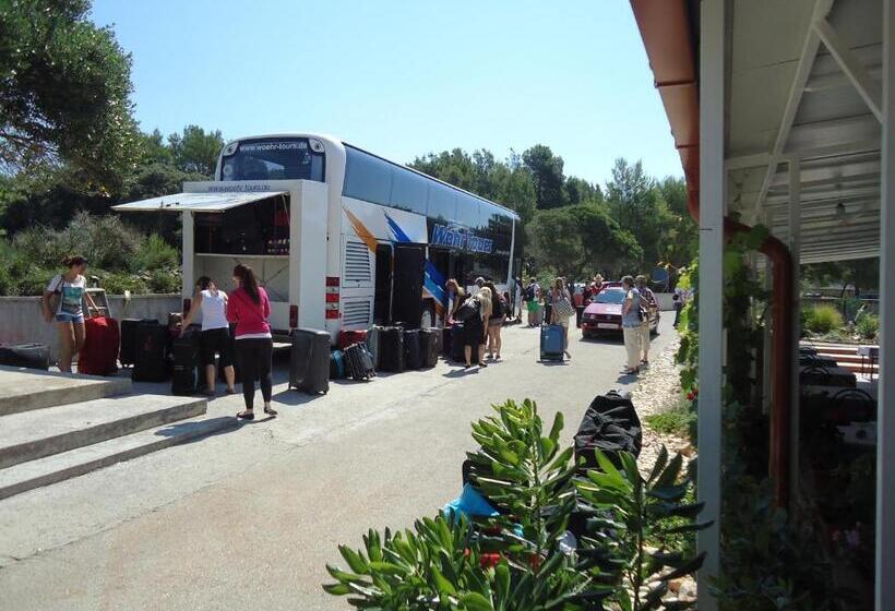 بنسيون Pansion Comfort Sidro