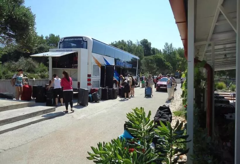 Majatalo Pansion Comfort Sidro