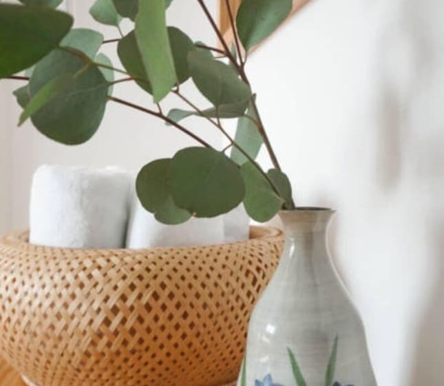 Pensiune Welcome House