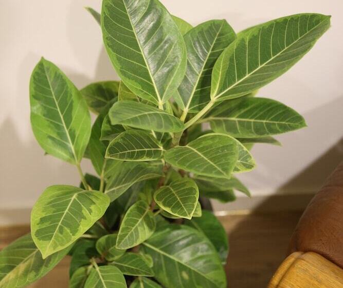 Pensionat Welcome House