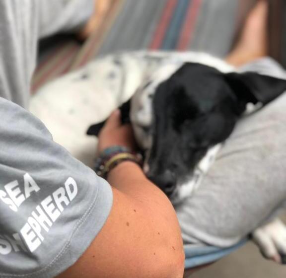 호스텔 Backpackers At 1770