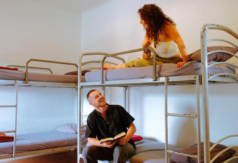 호스텔 Backpackers At 1770