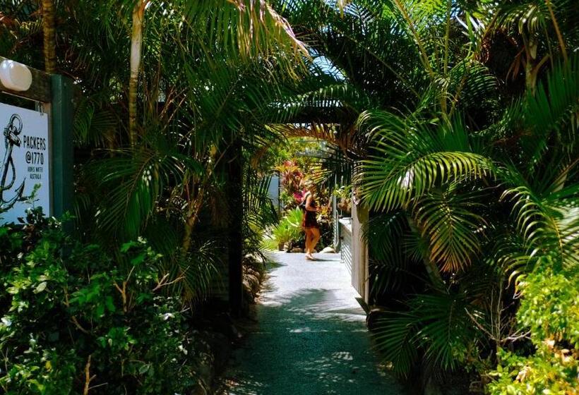 호스텔 Backpackers At 1770