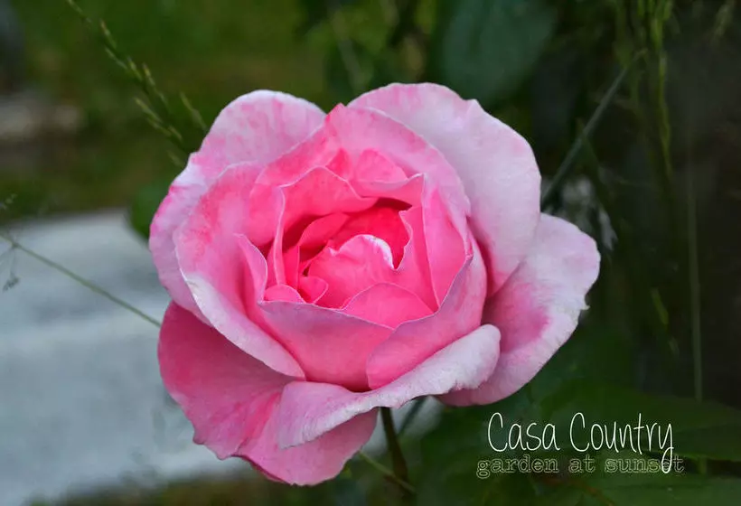 Casa Country B&b