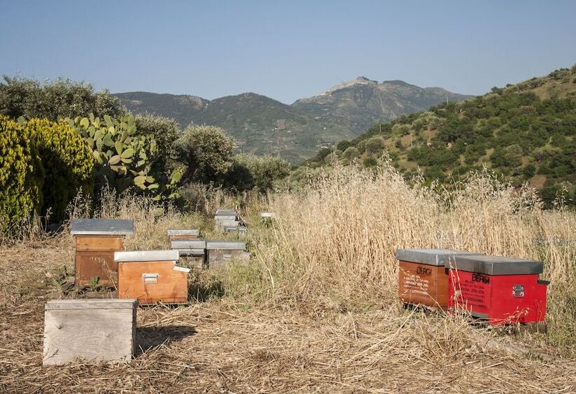 בית מלון כפרי Azienda Agrituristica Bergi