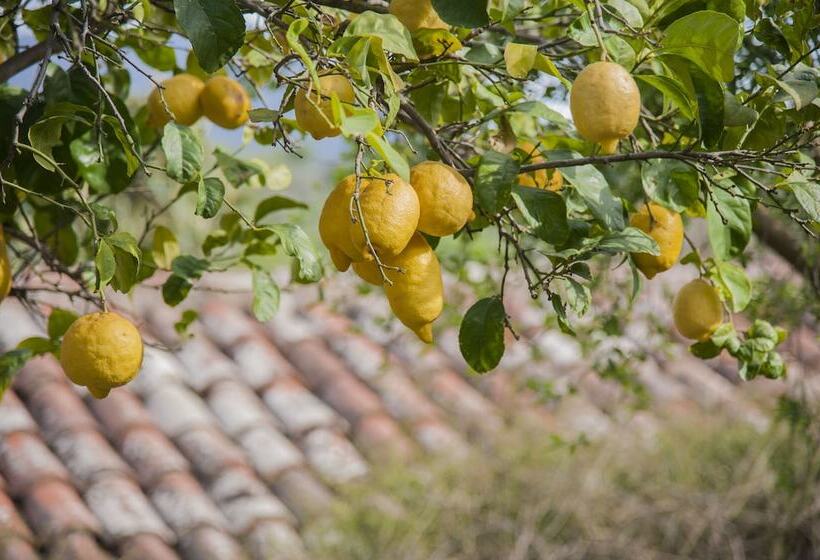 בית מלון כפרי Azienda Agrituristica Bergi