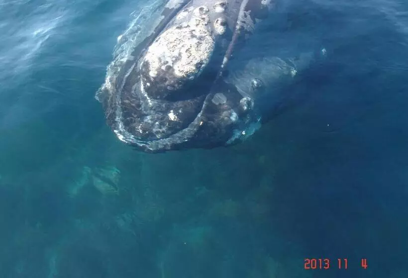 هتل Casa Patagonica