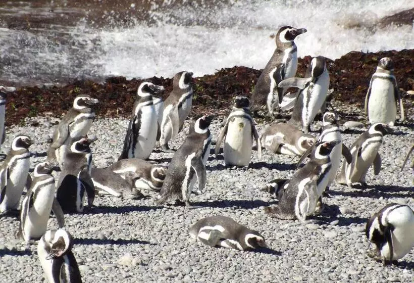 هتل Casa Patagonica