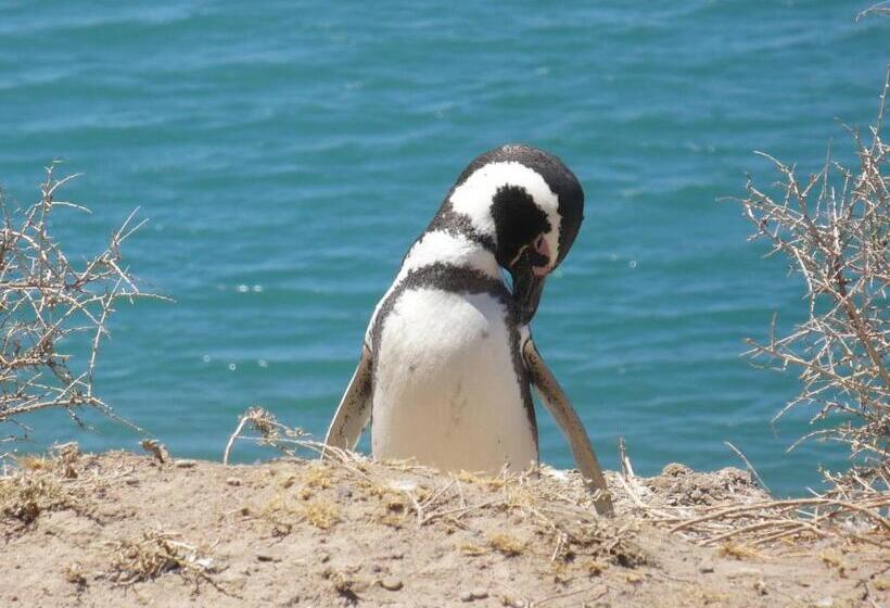 酒店 Casa Patagonica