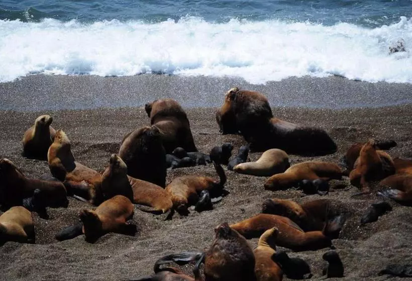 هتل Casa Patagonica