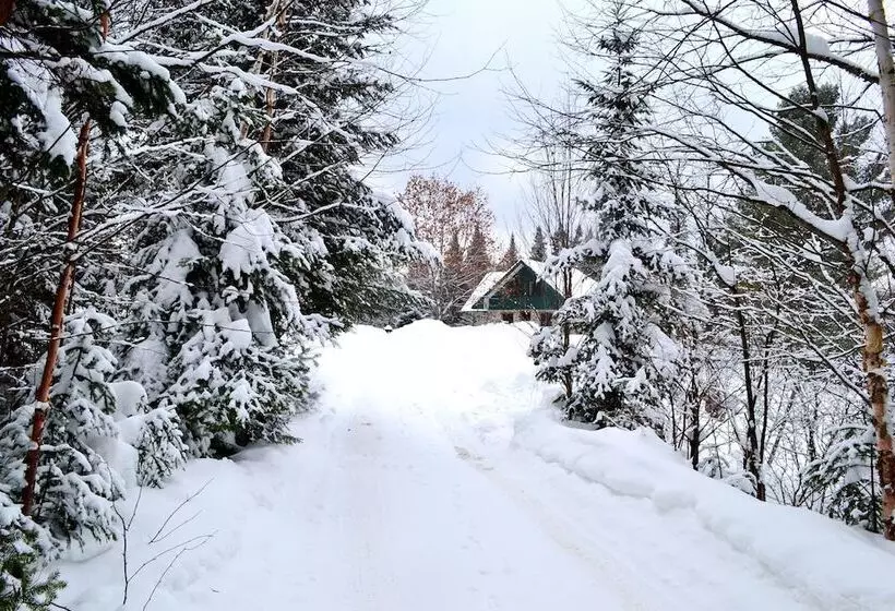 Hotelli Chalet Rustique Crds Tremblant
